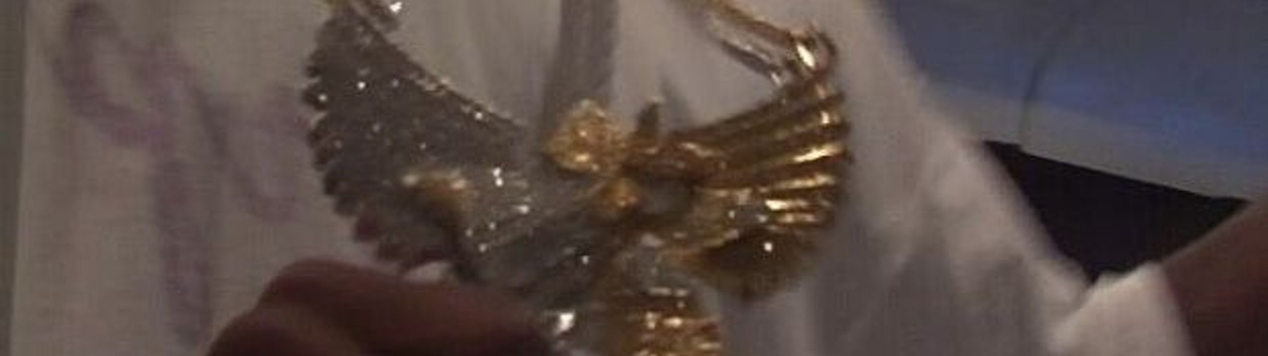 Profile Banner