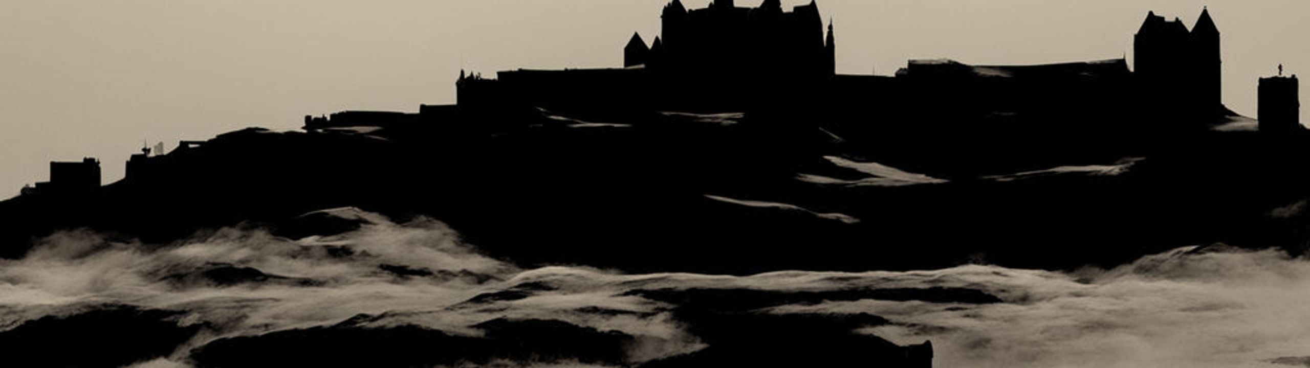 Profile Banner