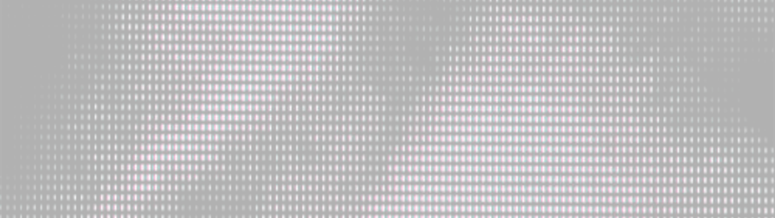 Profile Banner