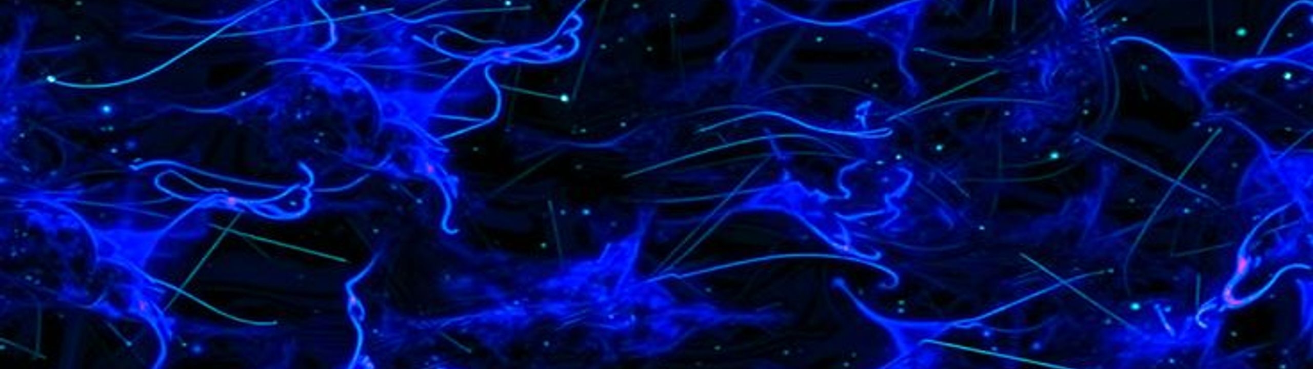 Profile Banner