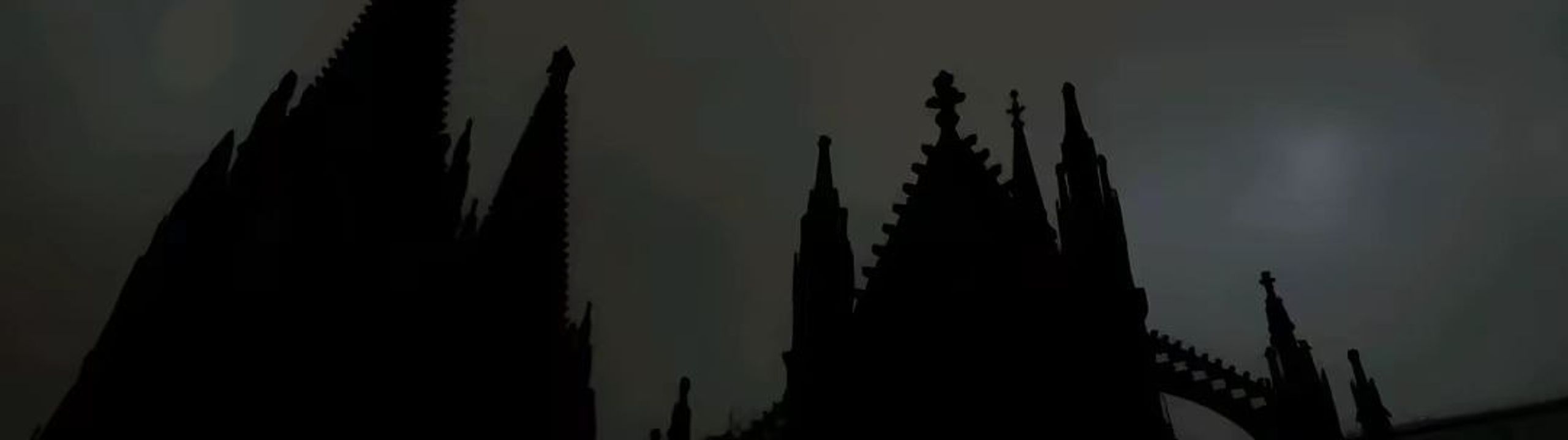 Profile Banner