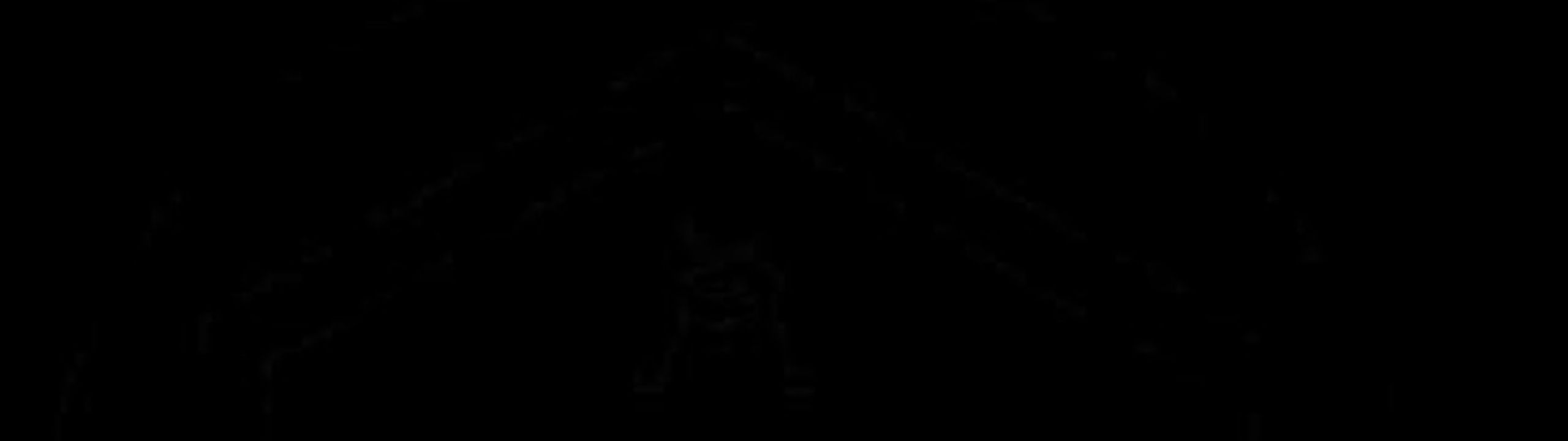 Profile Banner