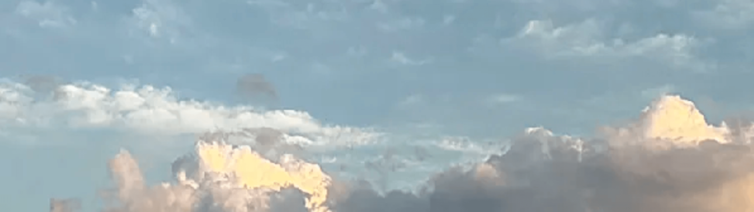 Profile Banner