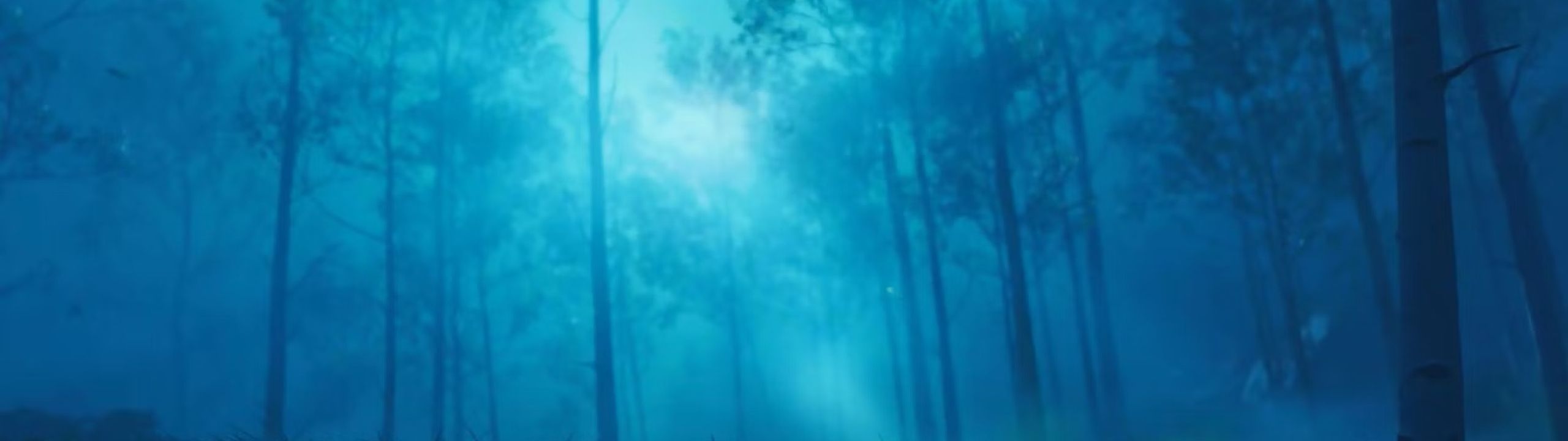 Profile Banner