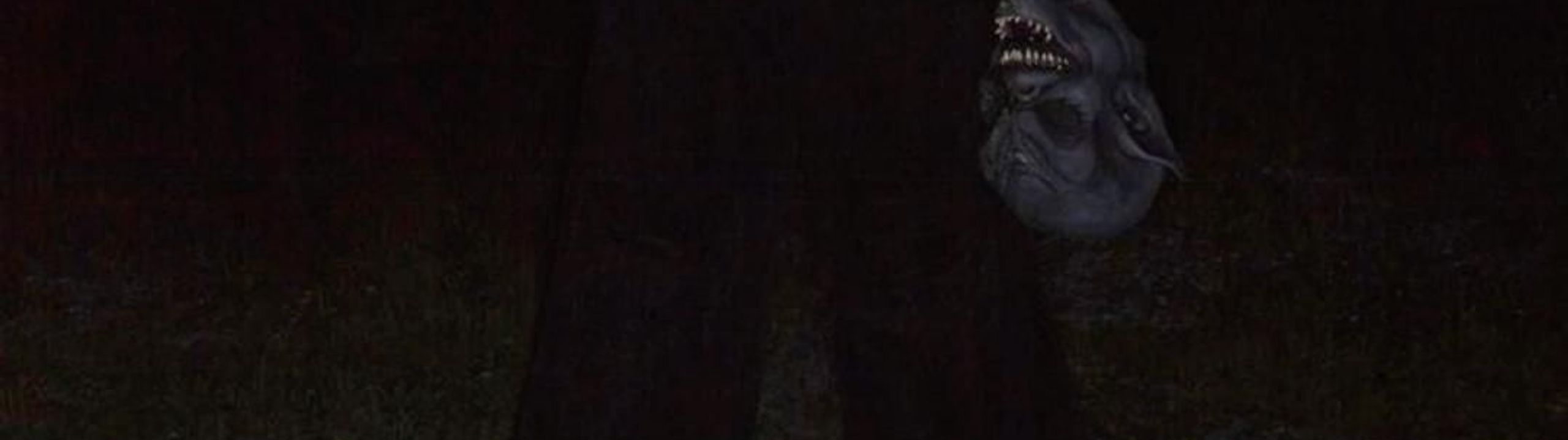 Profile Banner
