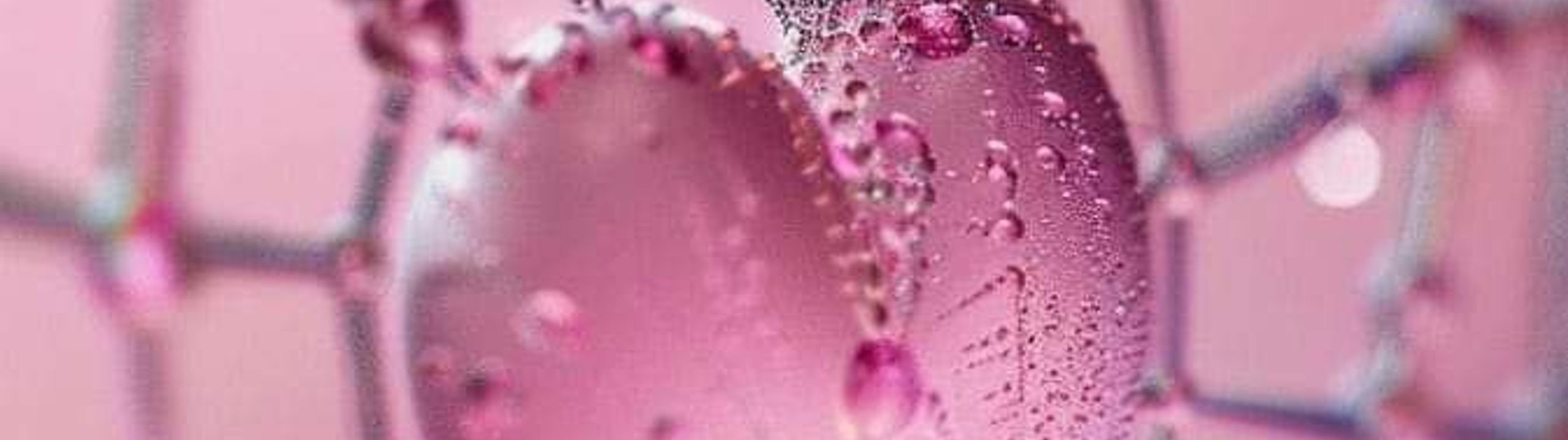 Profile Banner