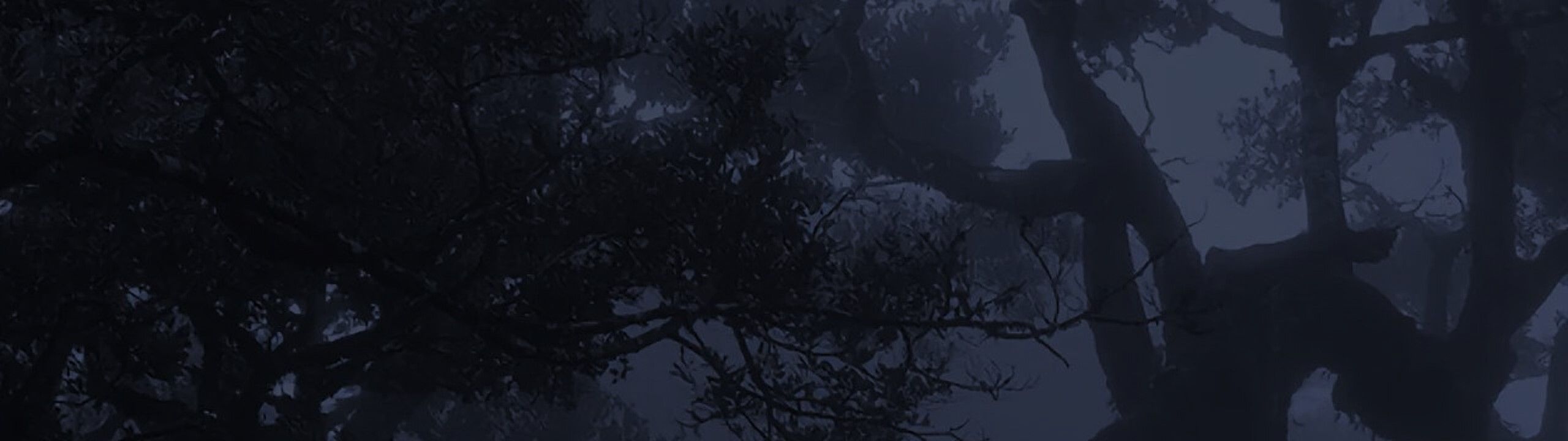 Profile Banner