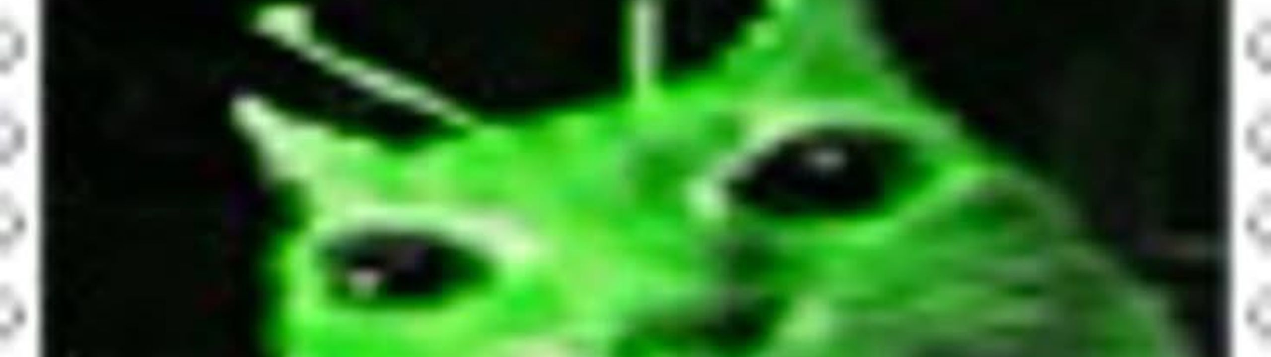 Profile Banner