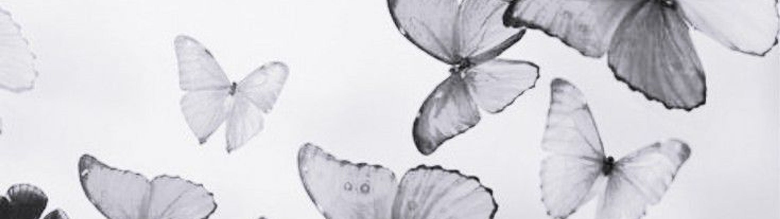 Profile Banner
