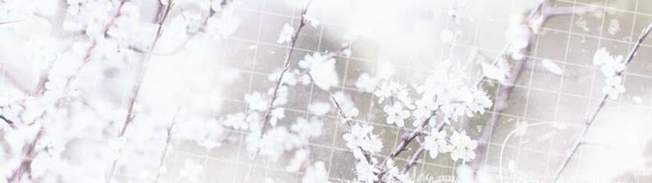 Profile Banner
