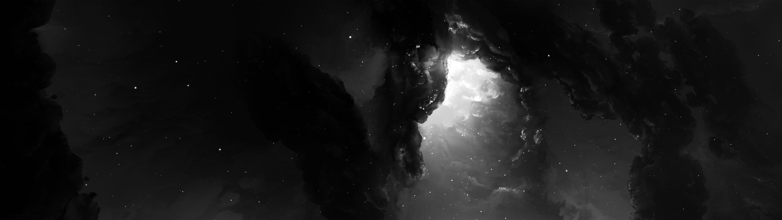 Profile Banner