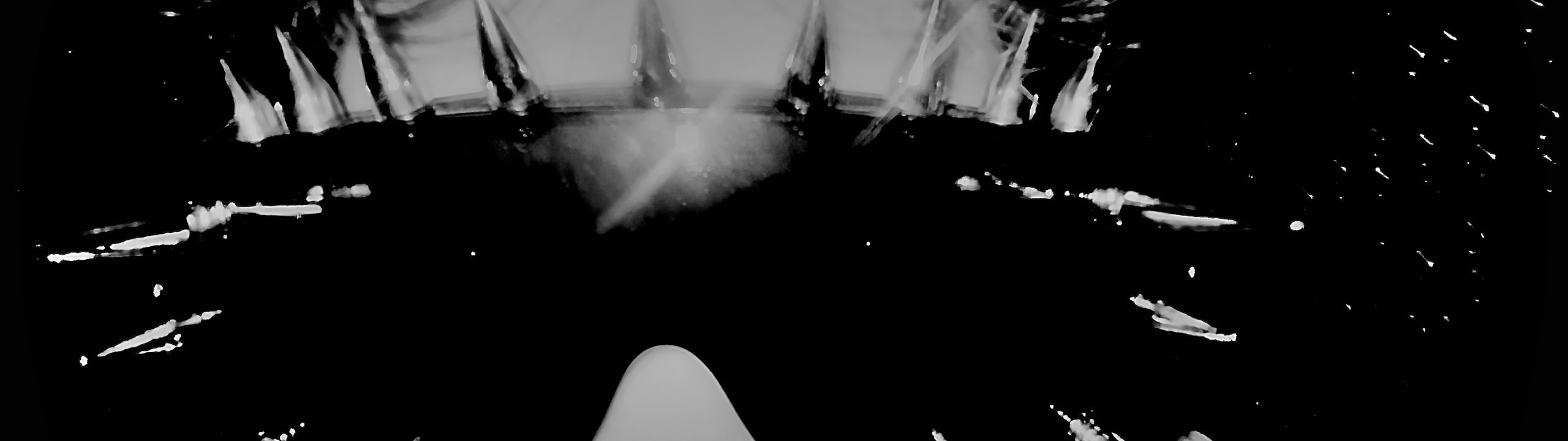 Profile Banner