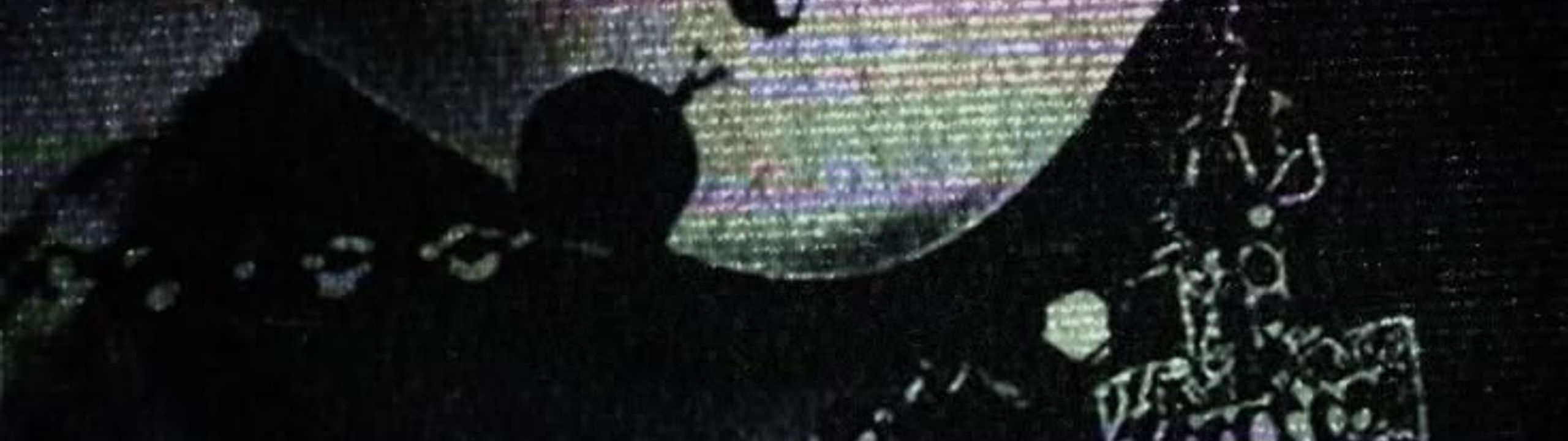 Profile Banner