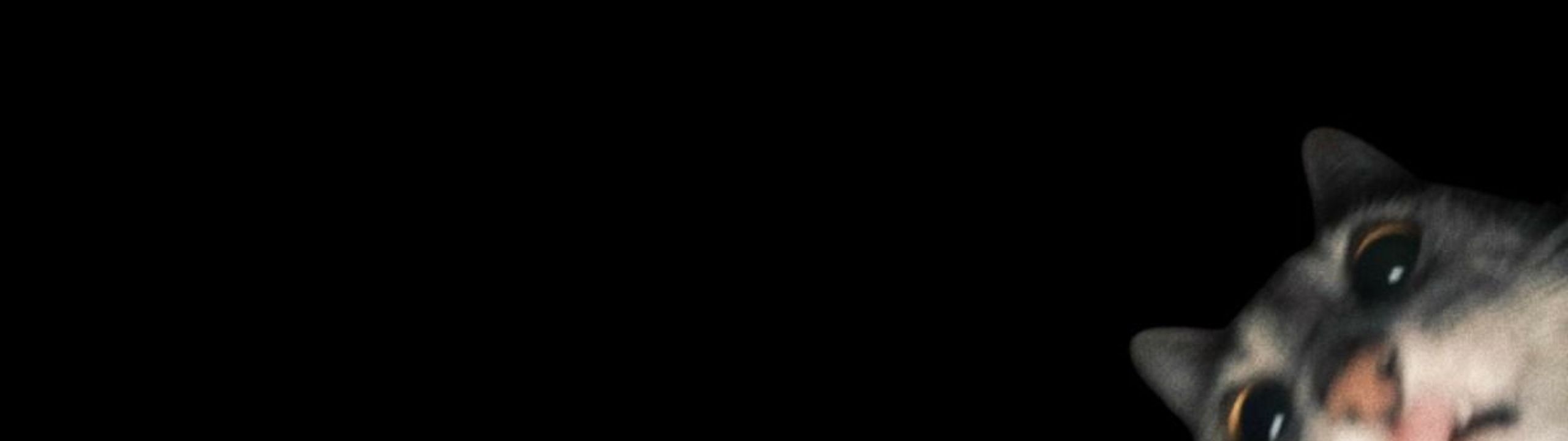 Profile Banner