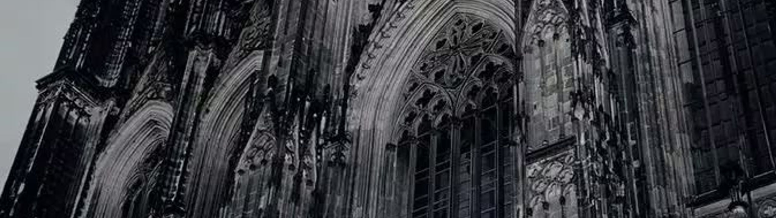 Profile Banner
