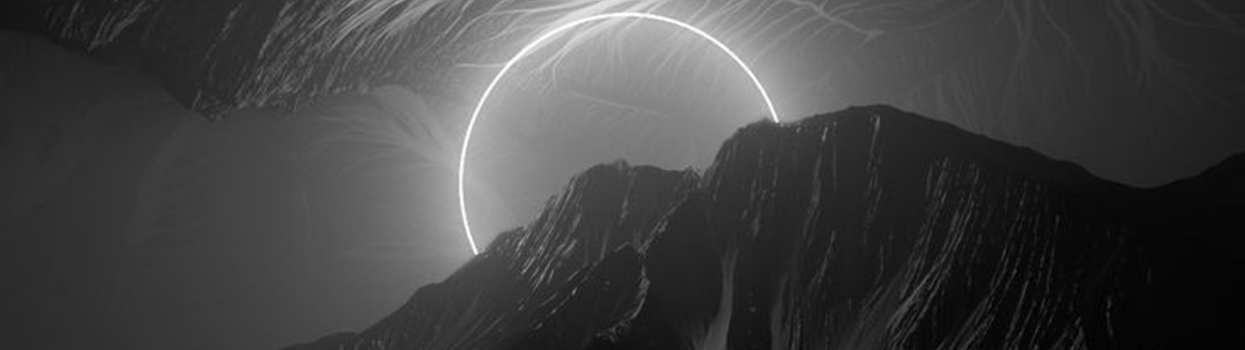 Profile Banner
