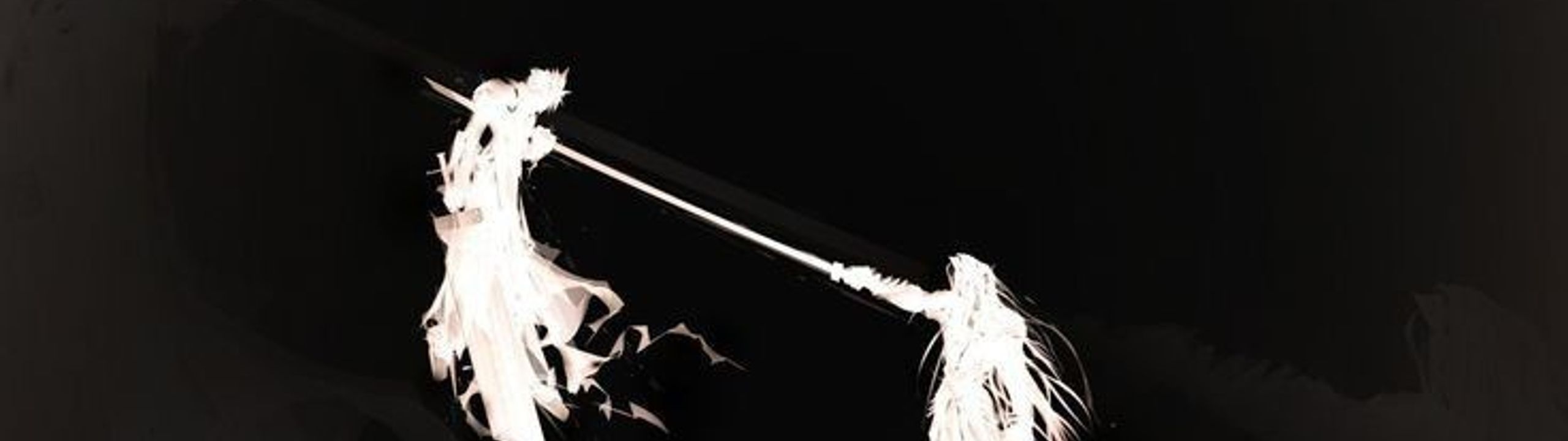 Profile Banner