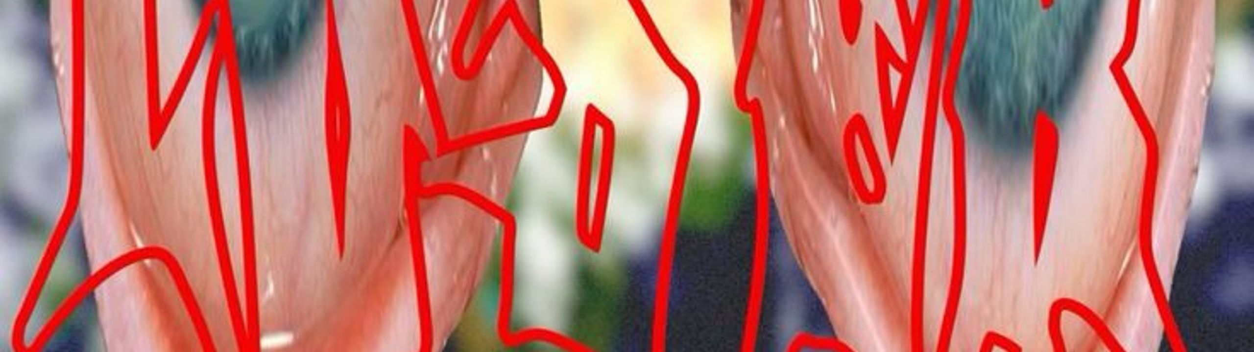 Profile Banner