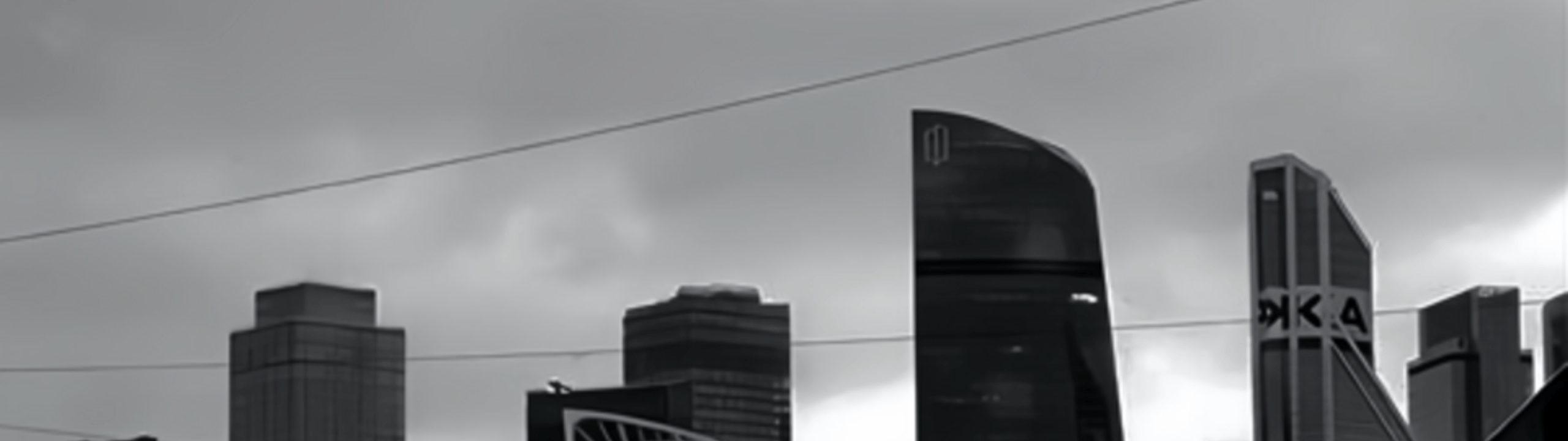 Profile Banner