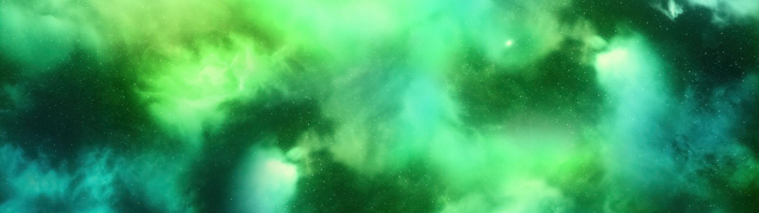 Profile Banner