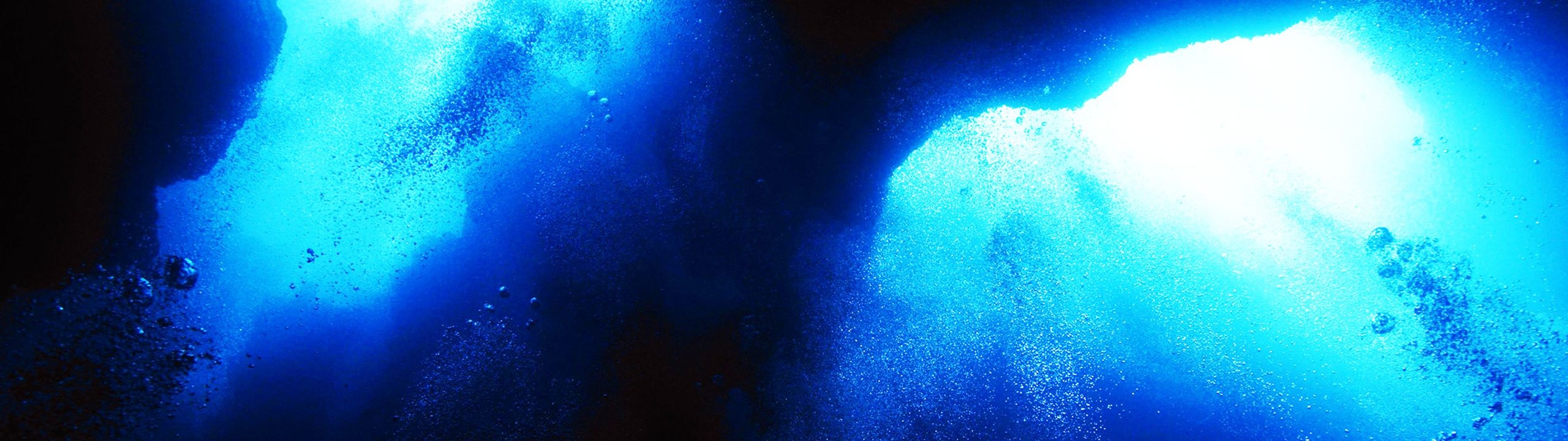 Profile Banner