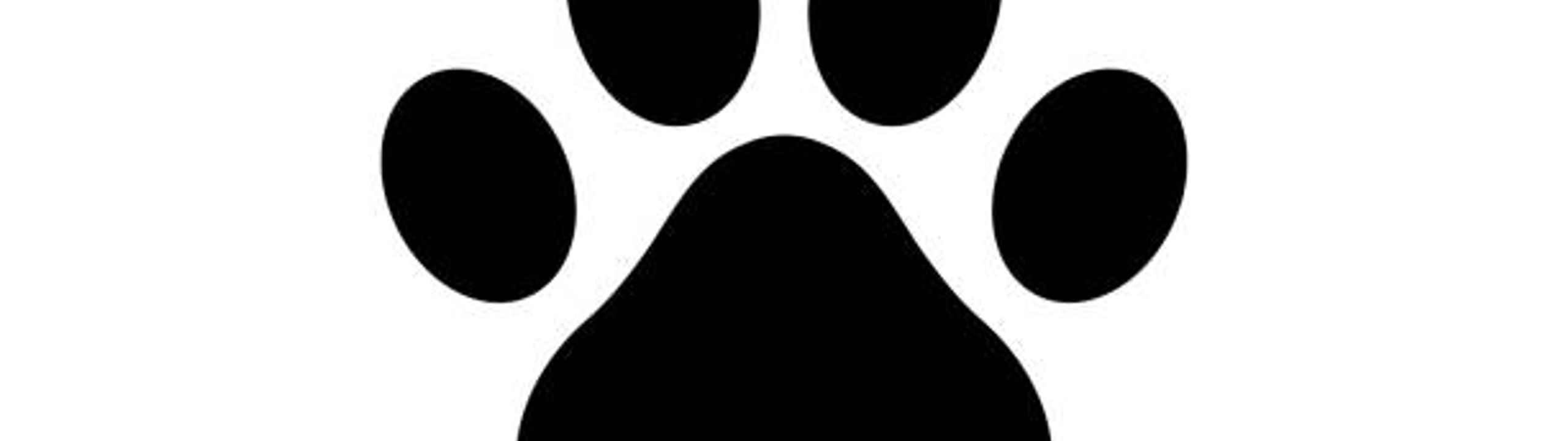 Profile Banner