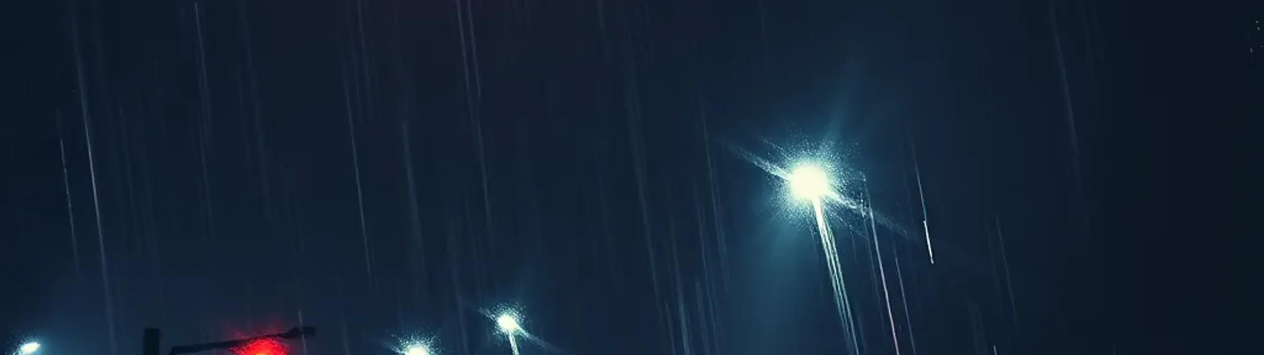 Profile Banner