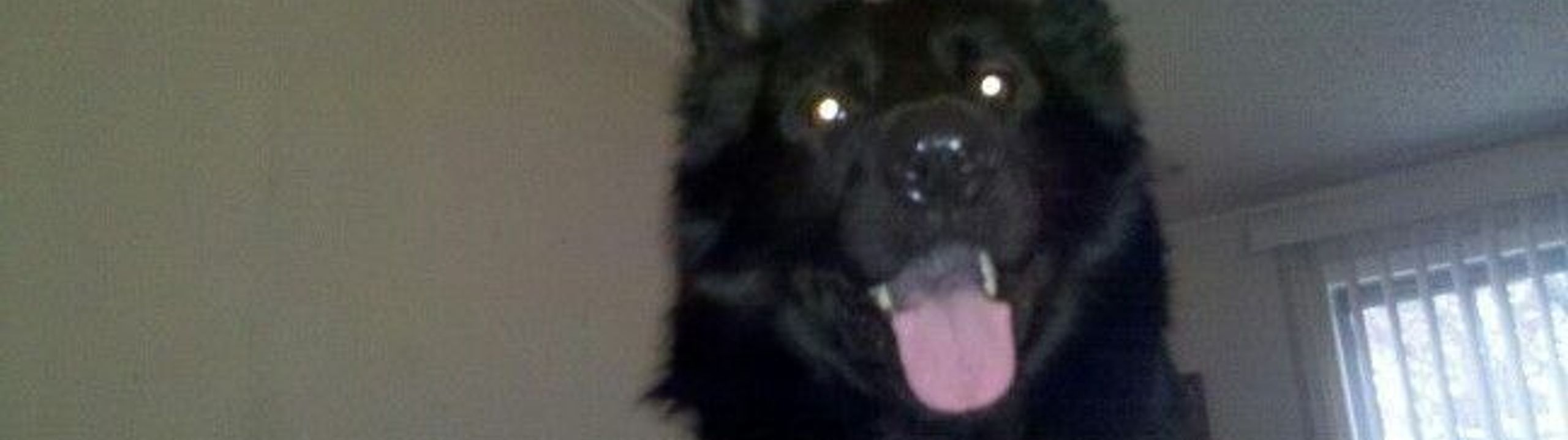 Profile Banner