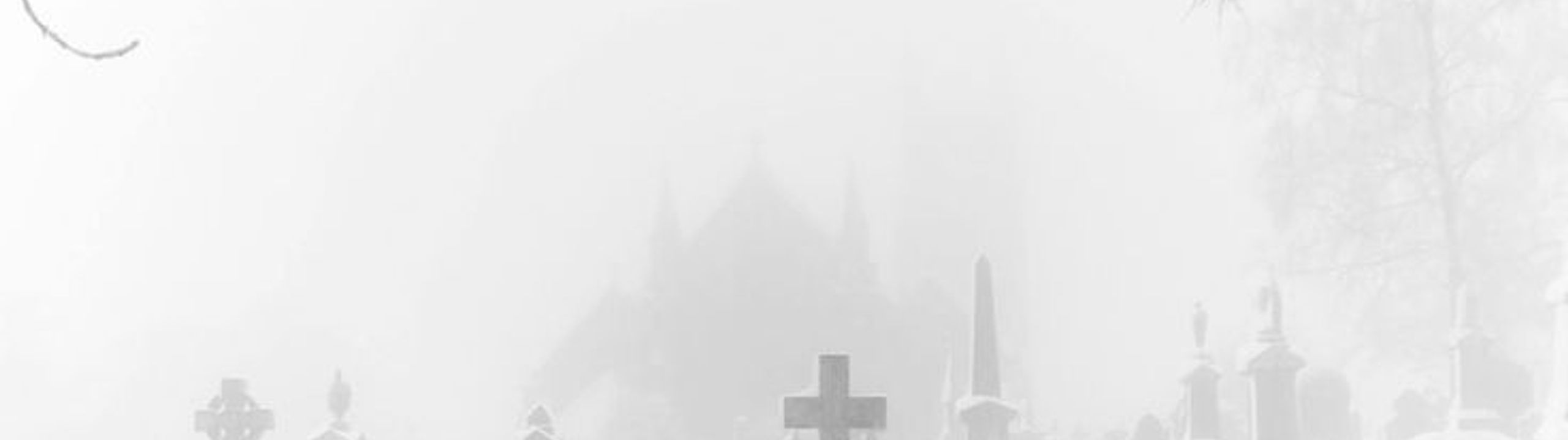 Profile Banner