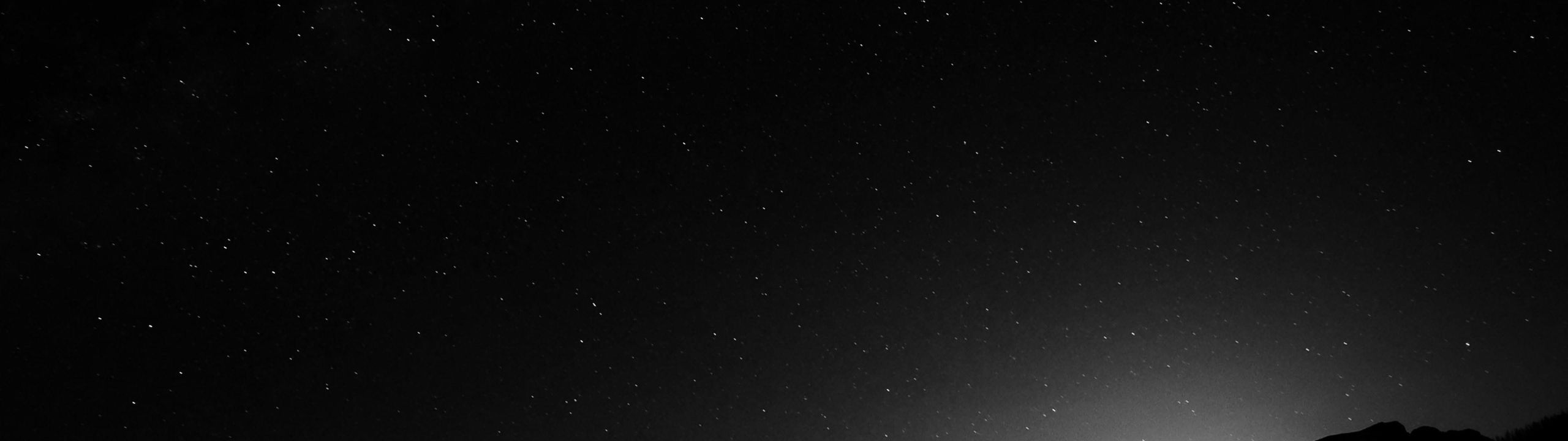 Profile Banner