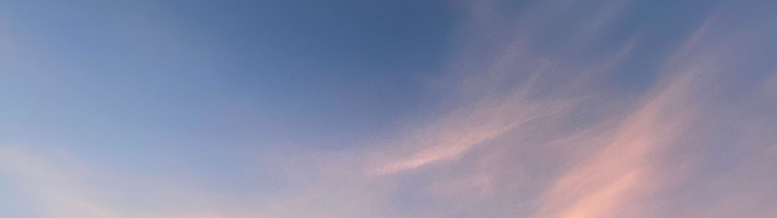 Profile Banner