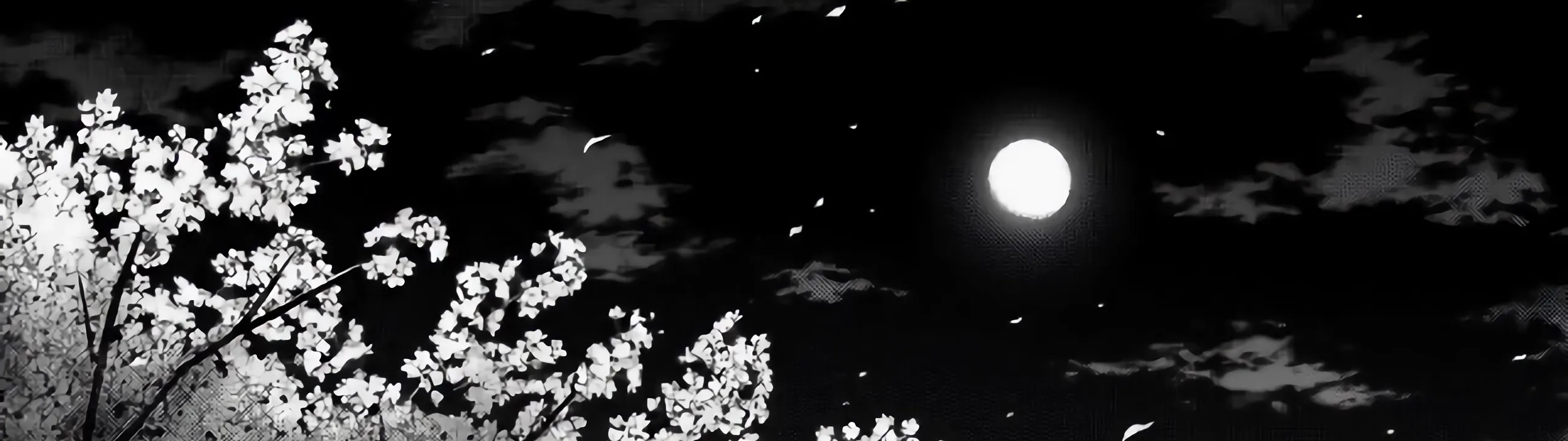 Profile Banner