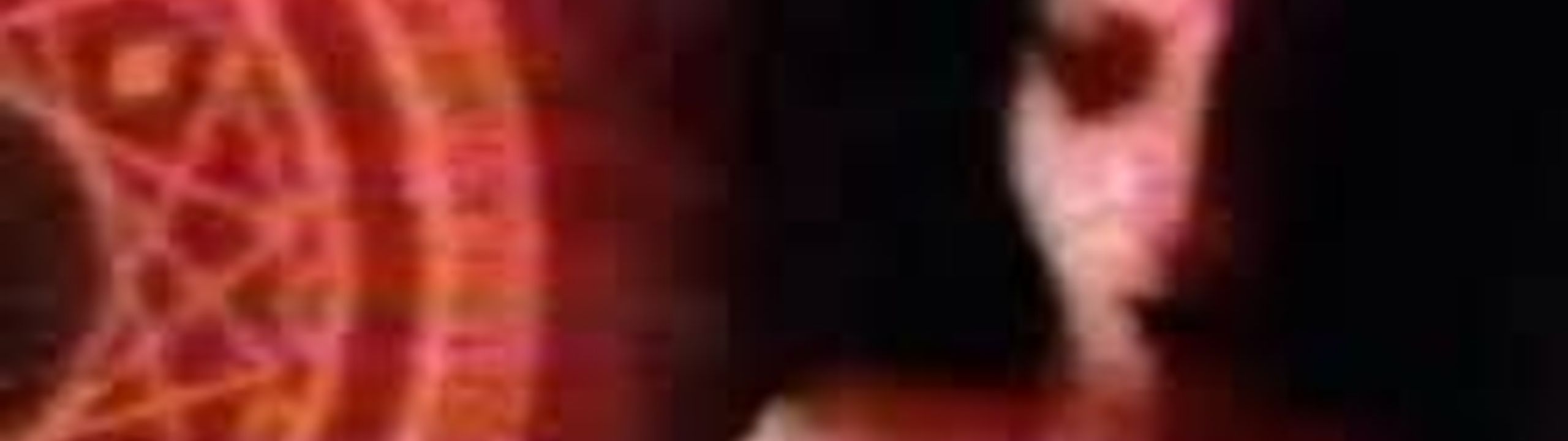 Profile Banner