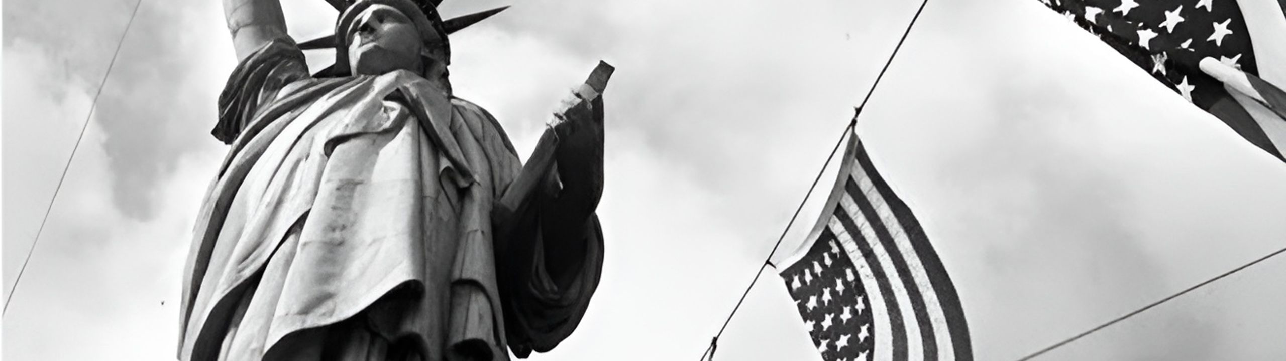Profile Banner
