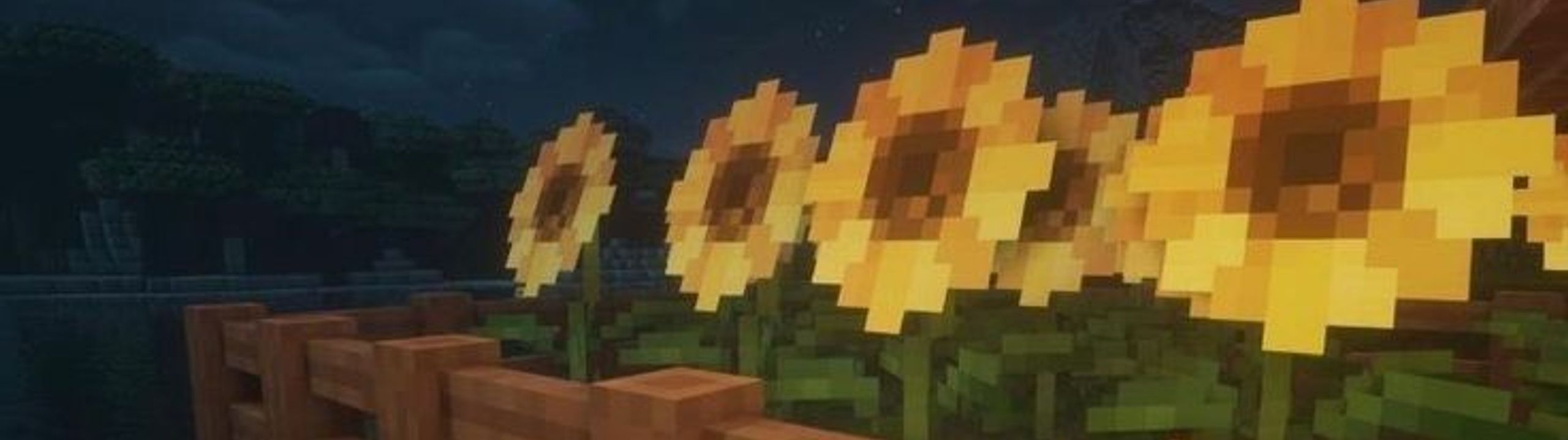 Profile Banner