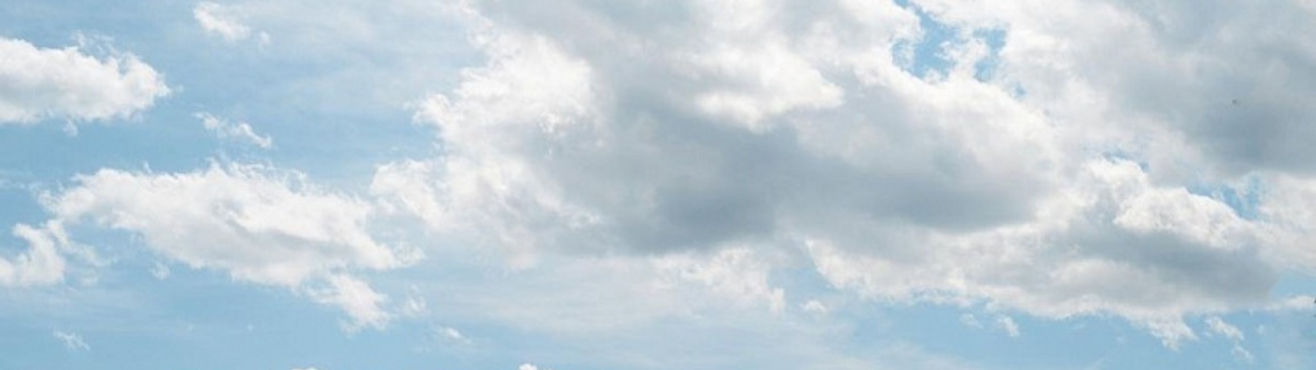 Profile Banner