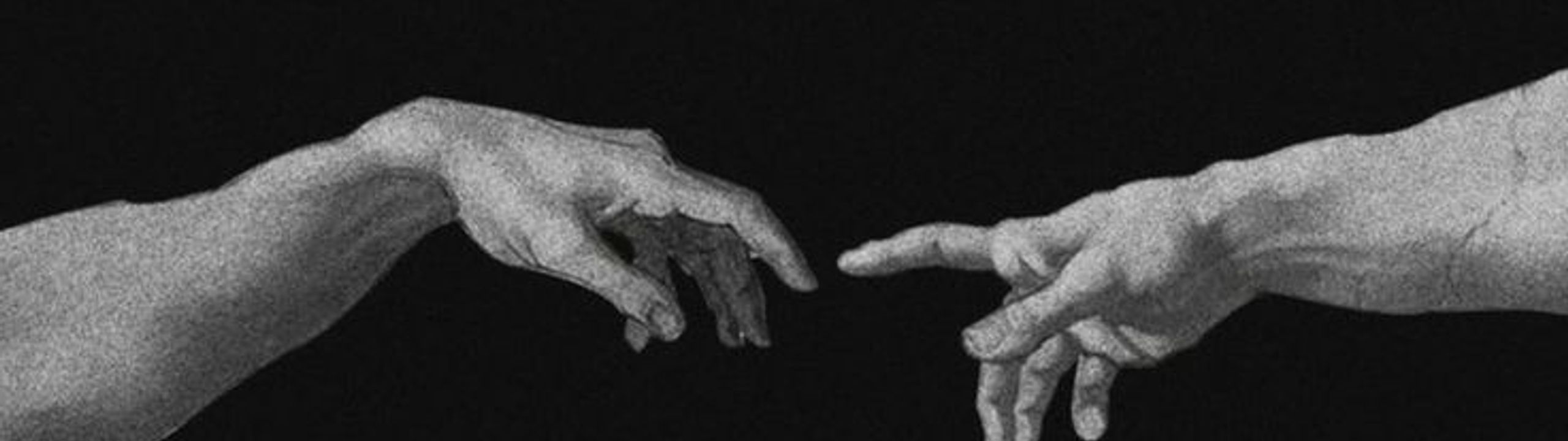 Profile Banner
