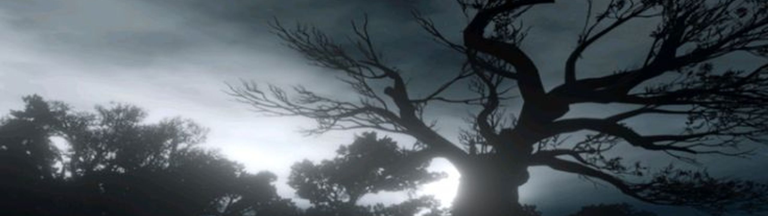 Profile Banner