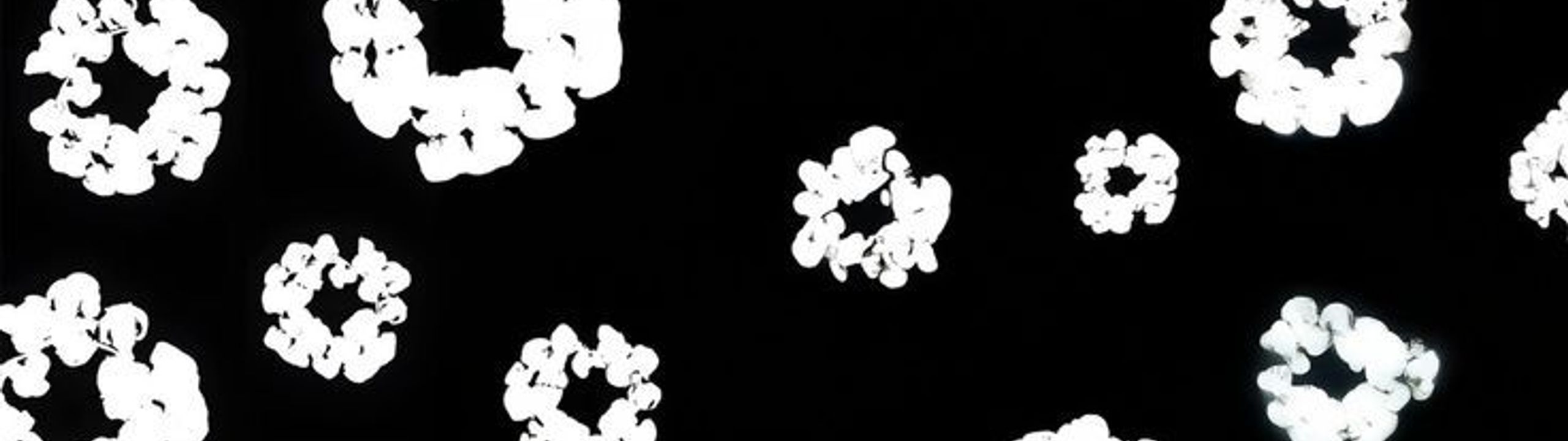 Profile Banner