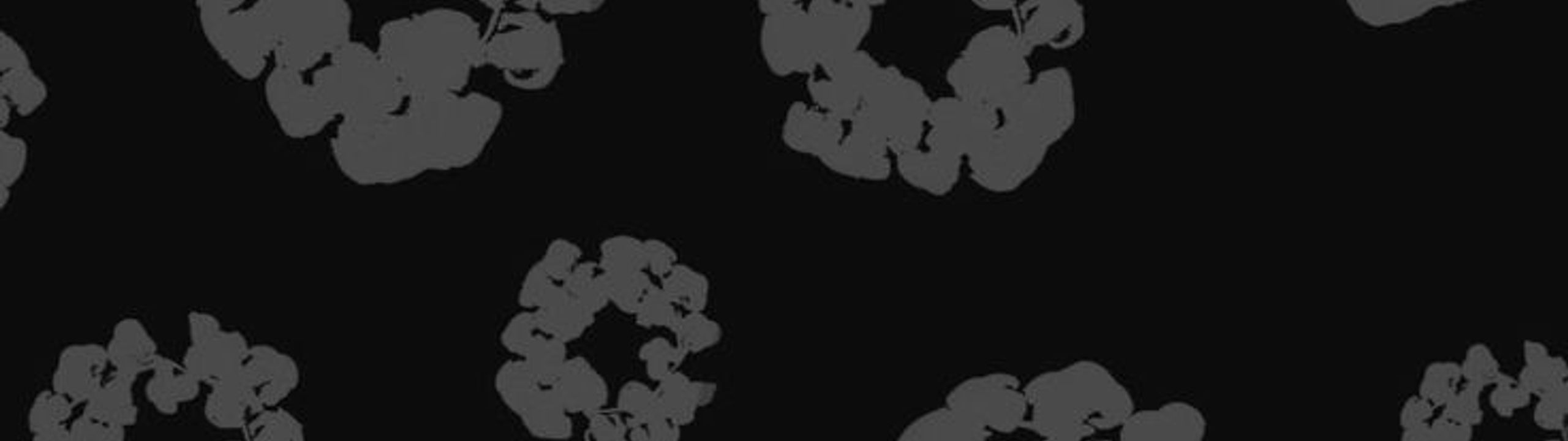 Profile Banner
