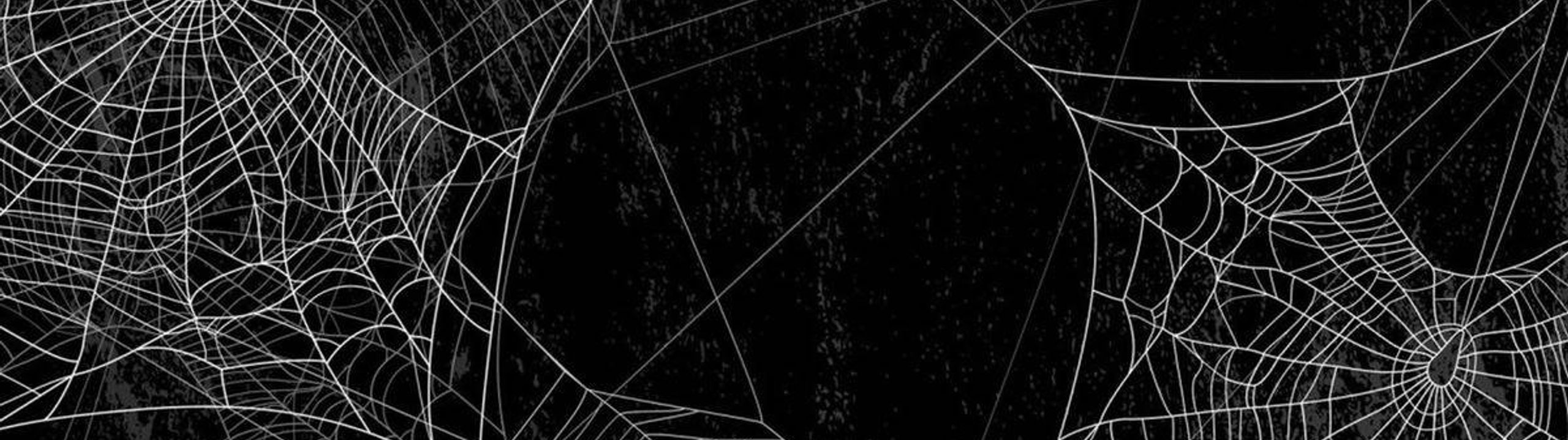 Profile Banner