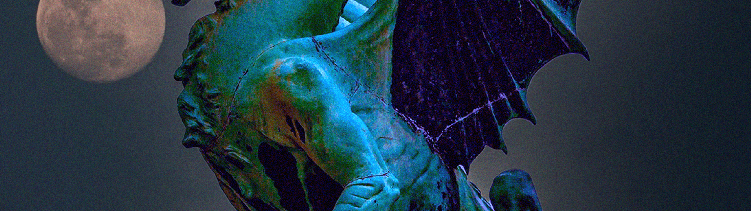 Profile Banner
