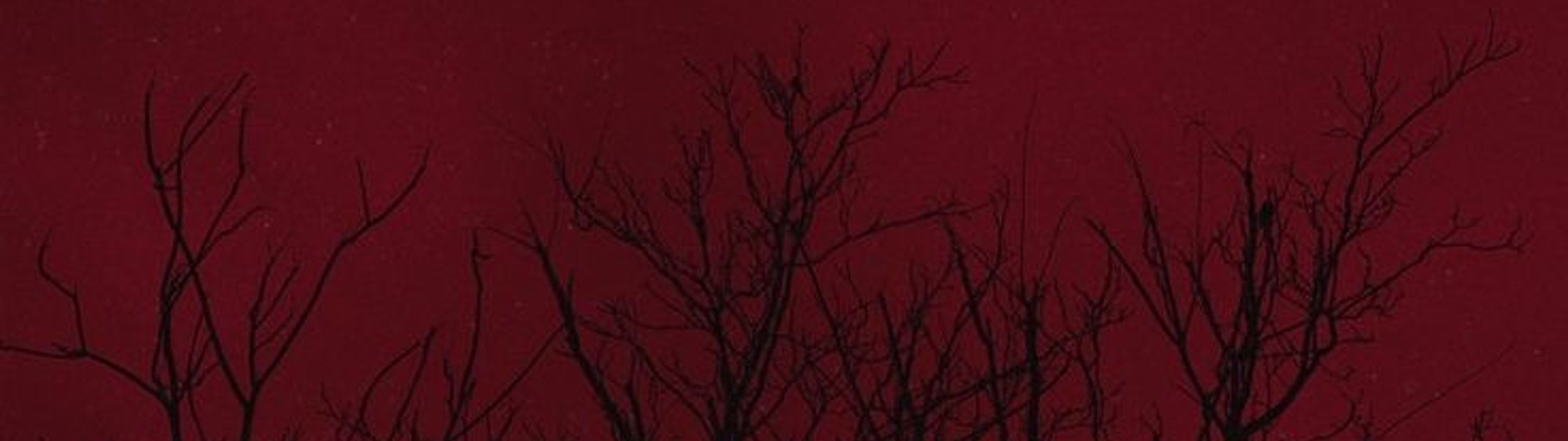 Profile Banner