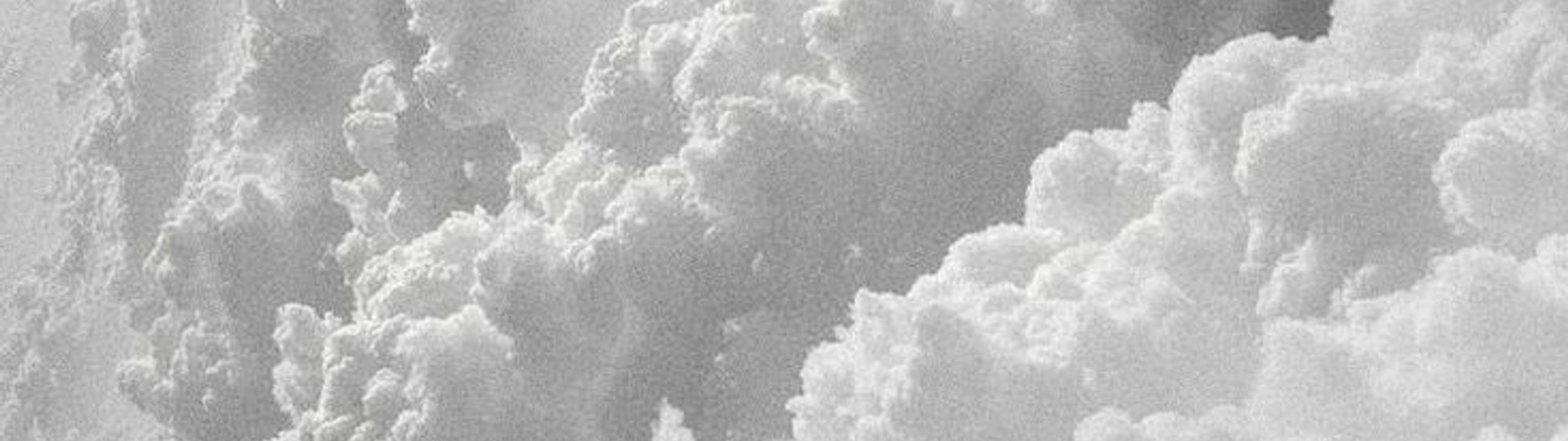 Profile Banner
