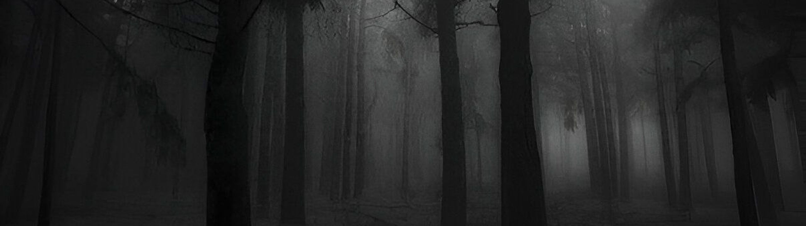 Profile Banner