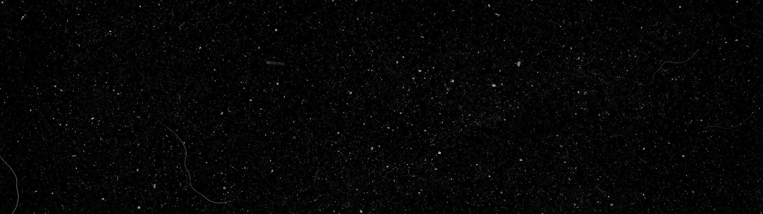 Profile Banner