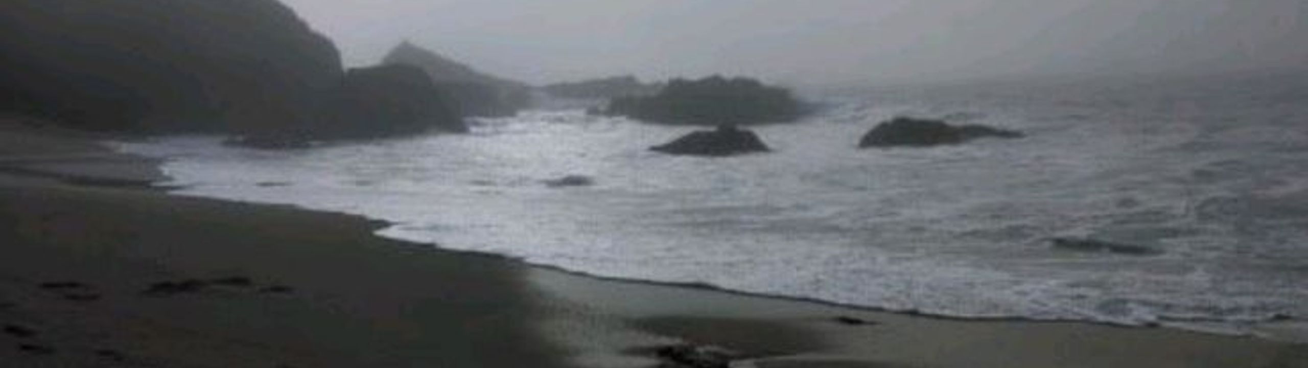 Profile Banner
