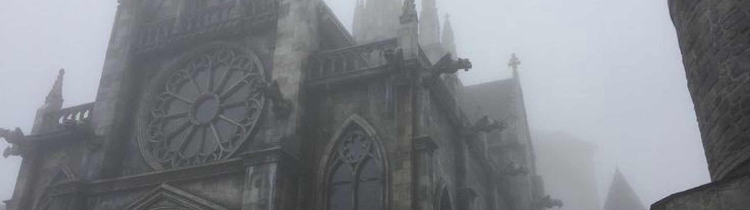 Profile Banner