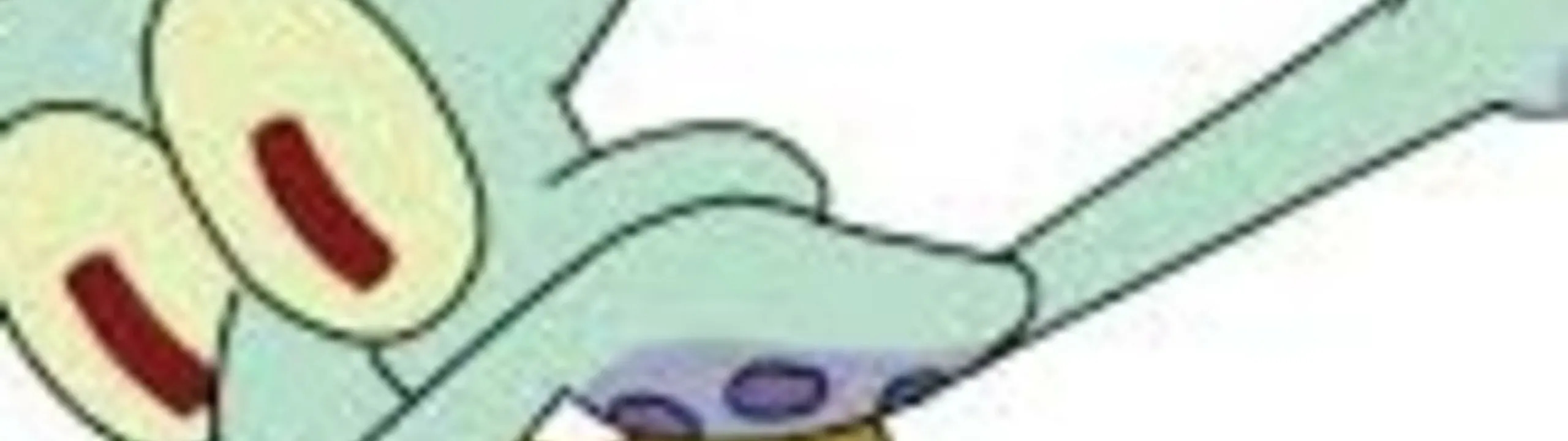 Profile Banner