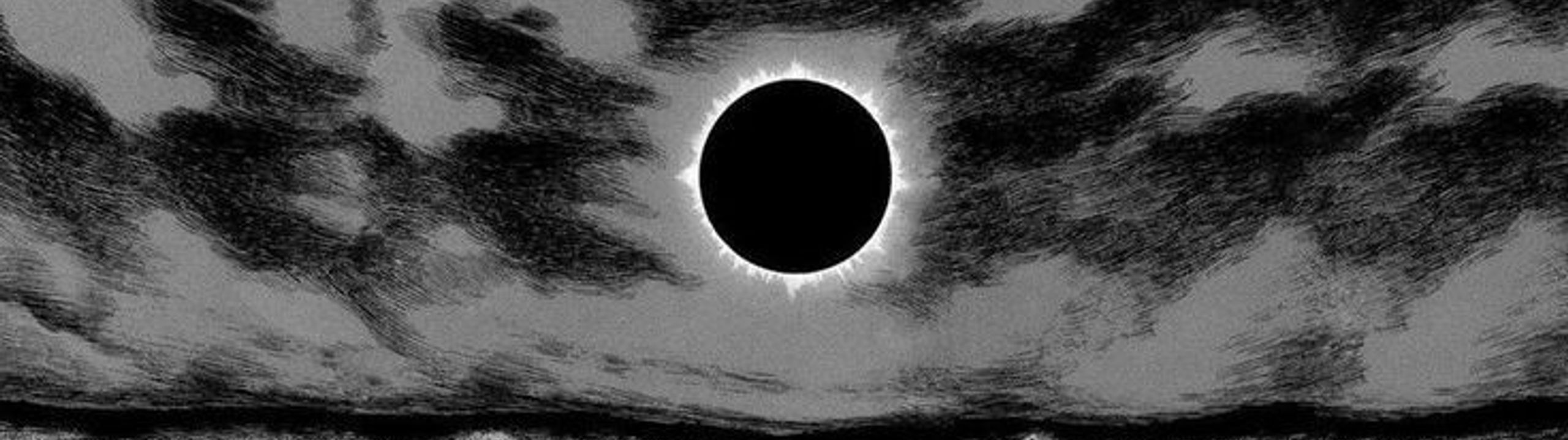 Profile Banner
